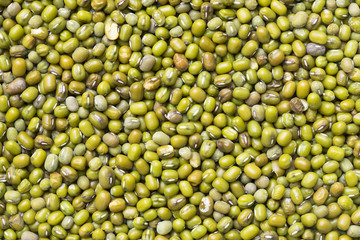 Green bean or mung bean background