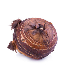 brown taro on white background