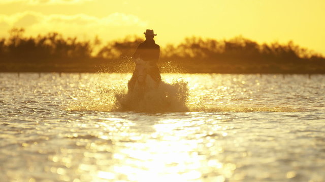 Cowboy Camargue rider animal horse sunset galloping sea 