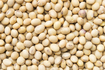 soy bean pattern as background