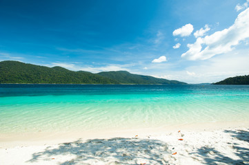 Fototapeta na wymiar Beautiful Island and turquoise color sea,Adang-Rawee Island ,Tha