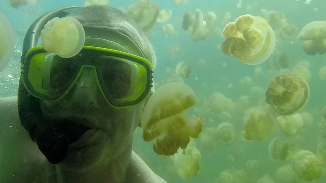 Jellyfish Lake, Palau Island, Micronesia, Pacific Ocean. Summer fun, recreation, holidays, vacation, water sport. Man swimming underwater, apnoea free diving, snorkeling, holding GoPro video camera
