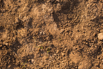 Image of red soil texture
