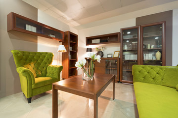 Interior of a living room with a green armchairm
