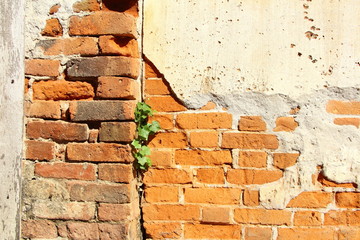 Old brick wall