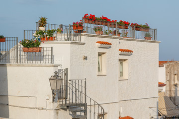 Old city house with terrace and red flowers