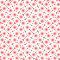 Network of cells (mesh) with visible nucleus of a cell
