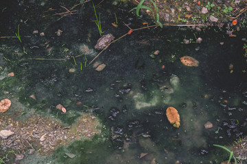 Vintage tone of trash polluting our waters