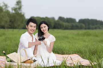 Cheerful young couple having a picnic on the grass