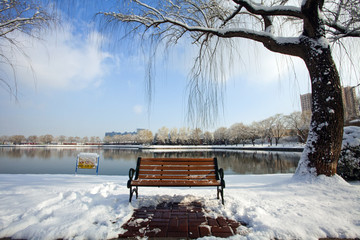 Peaceful park in winter snow