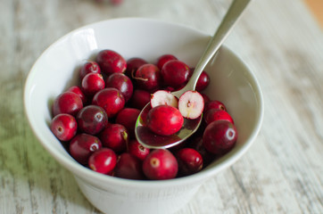 Cranberrys in einer Schale