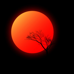 Red sun with tree