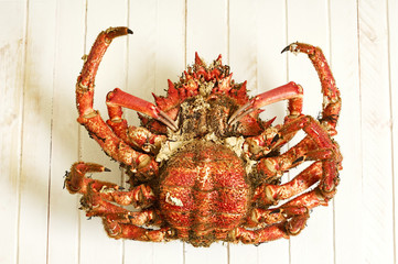 crab female coocked named  european spider  with  wooden background,  maja squinado