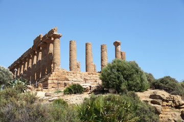 Fototapeta premium Greek temple in Sicily