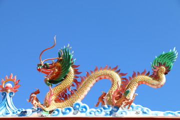 Fototapeta premium China dragon art color