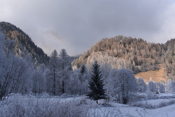 montagne innevate strade neve alberi neve nevicata inverno