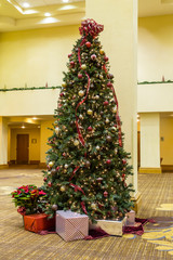 Christmas Tree in Empty Lobby