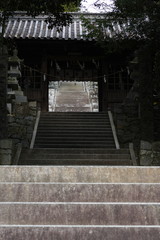 Fototapeta premium 神社の石段