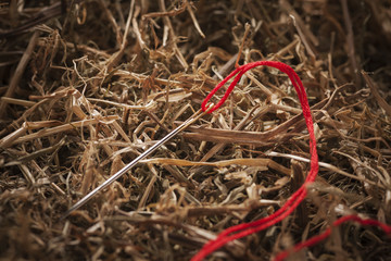 red thread needle in the hay