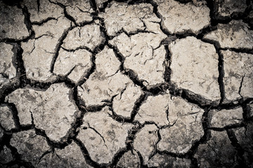 Surface crack texture