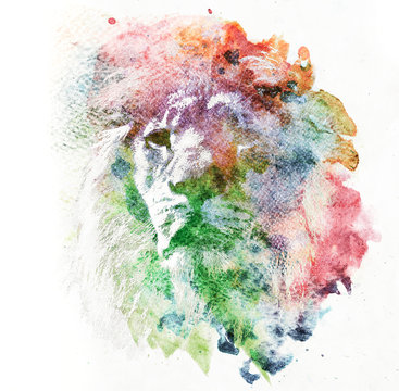 Watercolor painting of lion. Abstract, colorful art.
