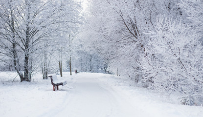 Obraz premium Winter fairy tale