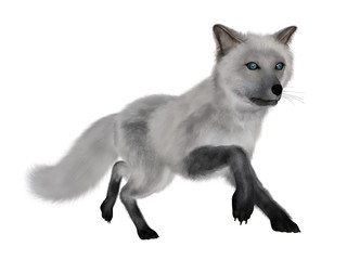 Obraz premium White fox running - 3D render