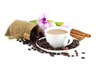 Coffee Beans and Cocoa Beans in bag , Flower , cinnamon and coff