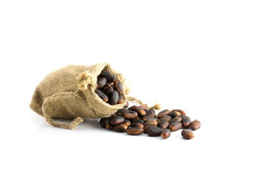 Cocoa pod, Cocoa beans, cocoa powder  on a white background.