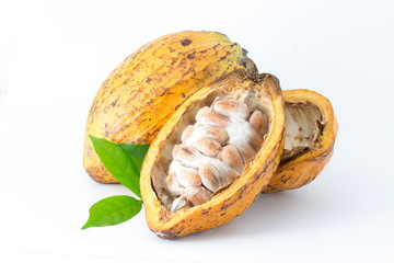 Cocoa pod on a white background.