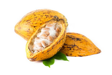 Cocoa pod on a white background.