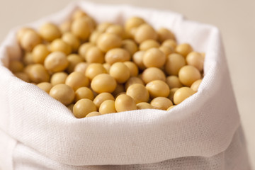 Close-up of soybean