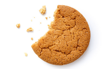 Single round ginger biscuit. - obrazy, fototapety, plakaty