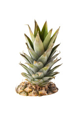 Pineapple isolated on a white background