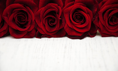 Fresh Red roses