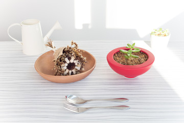 朝食を爽やかなイメージで表現