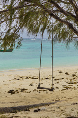 Rope swing on a tropical beach