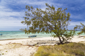 Fototapeta na wymiar Empty tropical beach on a nature scene