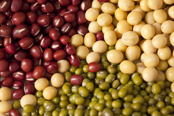Close-up of different beans
