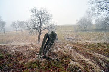 płot © wedrownik52