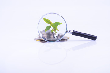 Magnifier glass and coin with plant on white background. Financi