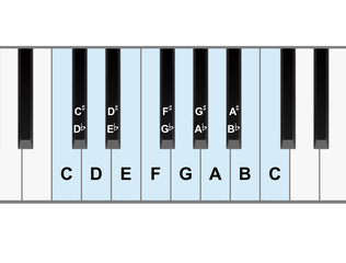 Naklejka premium Piano Notes