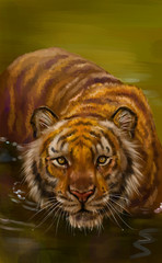 Тигр в воде