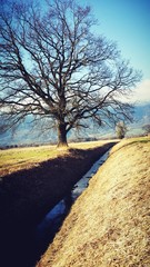 Autum in Liechtenstein