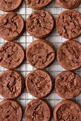 Chocolate cookie Overhead grid