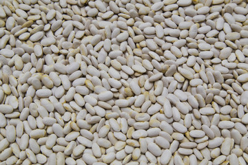 White beans background