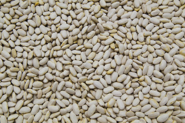 White beans background