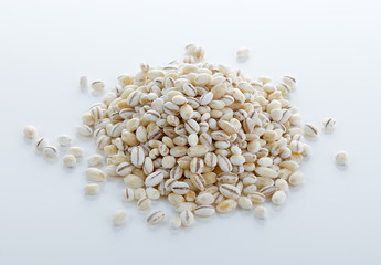 Barley Grains Isolated on White Background