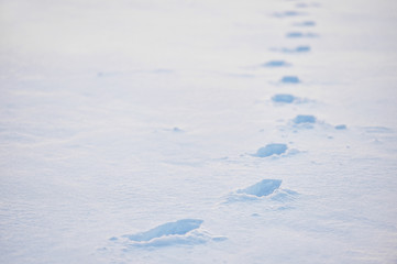 Naklejka premium Footprints in deep snow