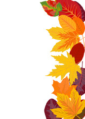 vertical background with autumn leaves. vector